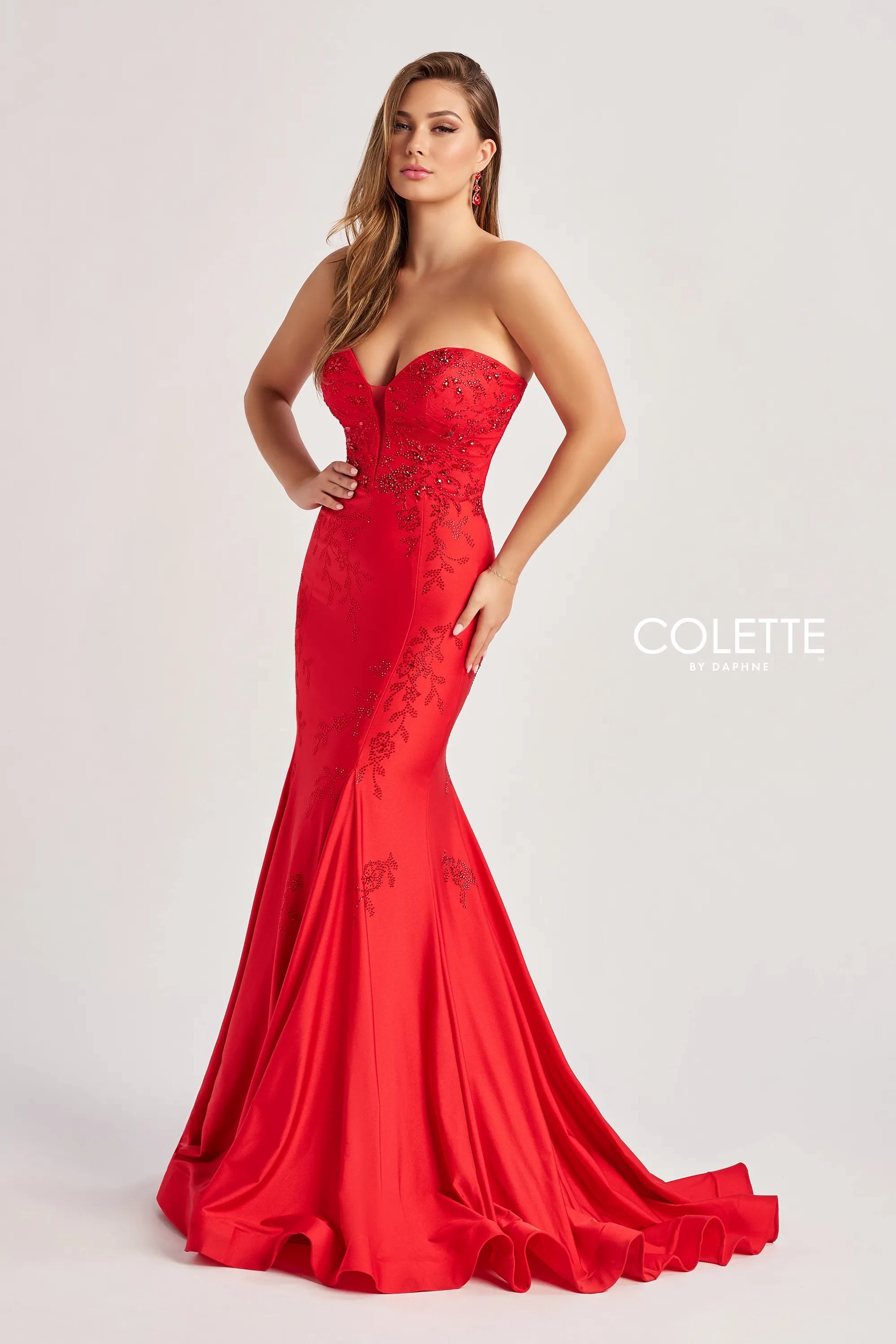 Colette by Daphne CL8445 Long Mermaid Formal Evening Prom Dress